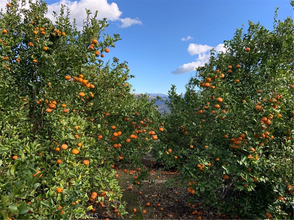 45860 Cll Cuero Temecula, CA 92590 - Photo 3 of 7