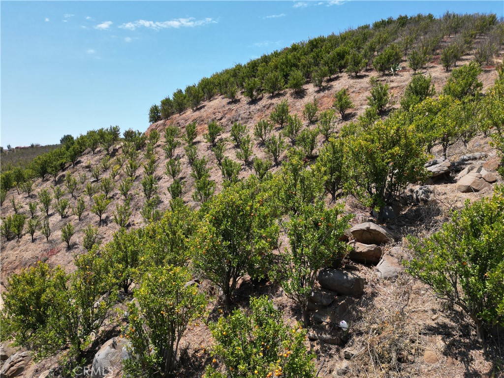 45860 Cll Cuero Temecula, CA 92590 - Photo 4 of 7