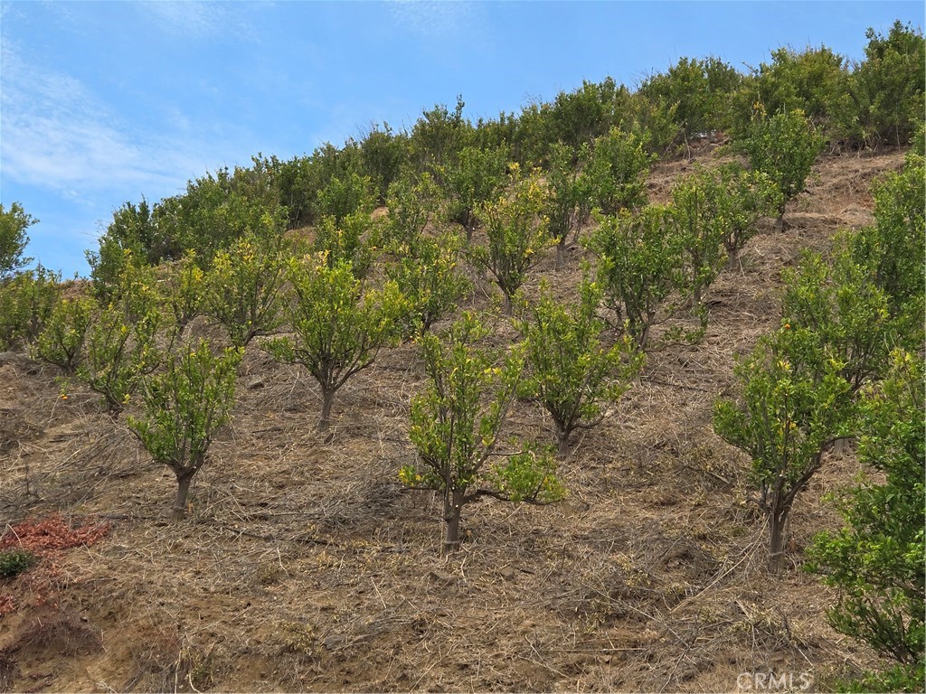 45860 Cll Cuero Temecula, CA 92590 - Photo 6 of 7