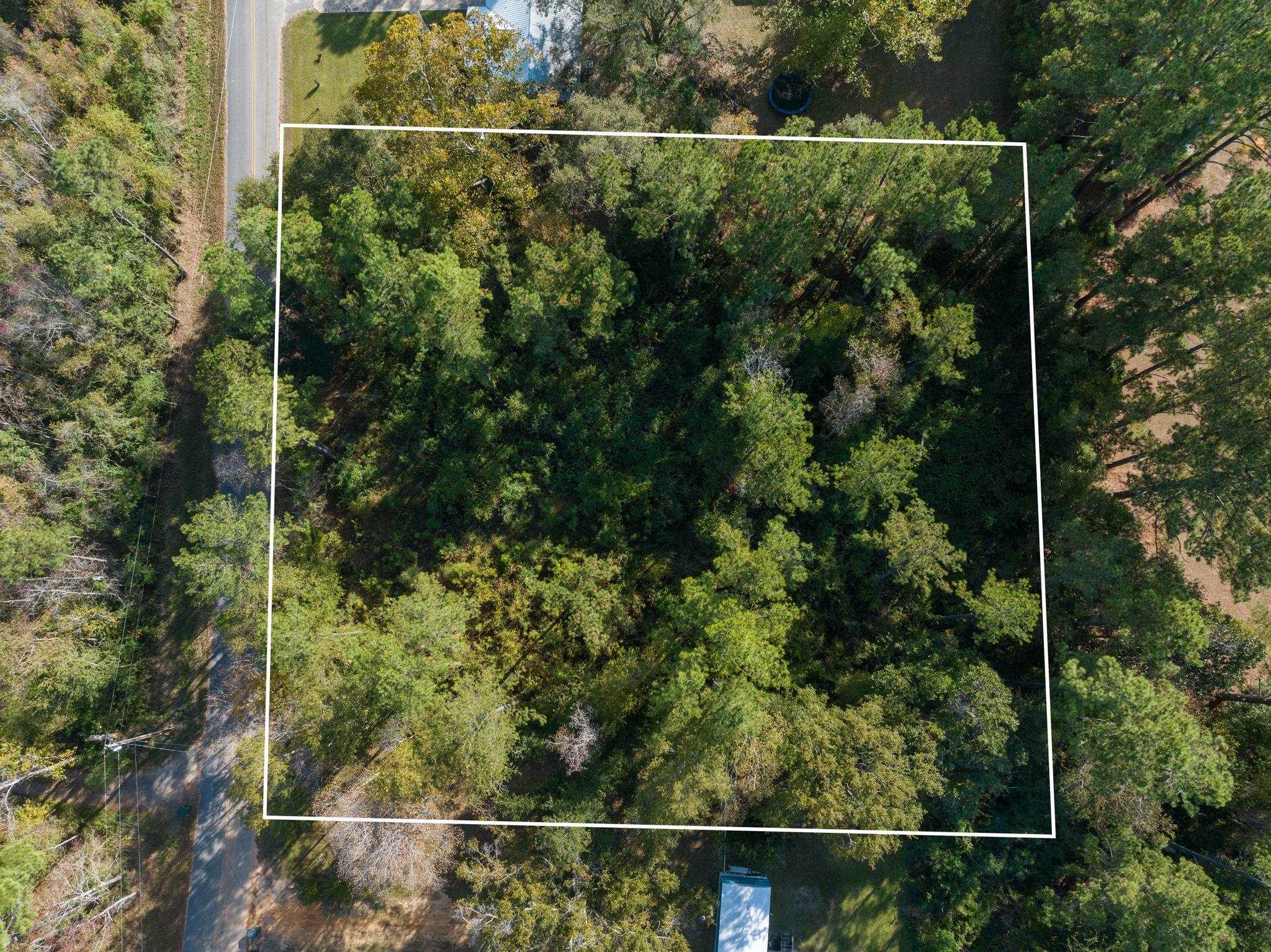 35741 Pine Road North Stapleton, AL 36578 - Photo 2 of 11