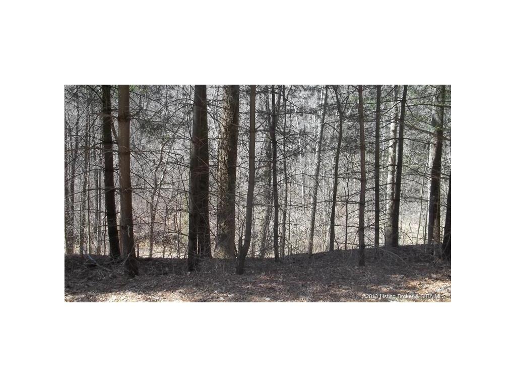 0 North Radiator Road English, IN 47118 - Photo 1 of 1
