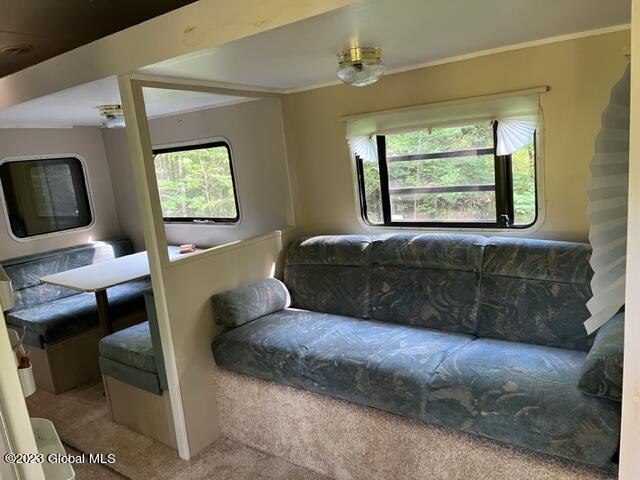 41 Shultes Road Berne, NY 12122 - Photo 11 of 18 IMG_1961