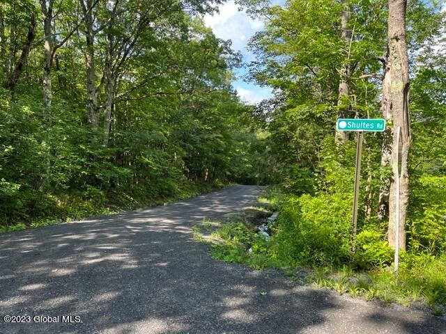 41 Shultes Road Berne, NY 12122 - Photo 16 of 18 IMG_1972