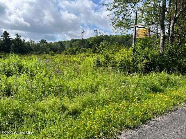 41 Shultes Road Berne, NY 12122 - Photo 17 of 18 IMG_1973 - Copy