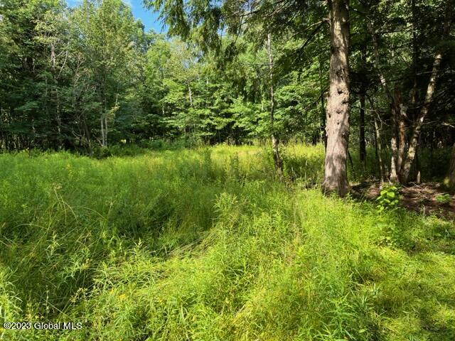 41 Shultes Road Berne, NY 12122 - Photo 2 of 18 IMG_1965