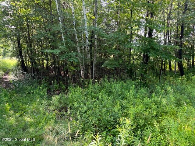 41 Shultes Road Berne, NY 12122 - Photo 3 of 18 IMG_1966