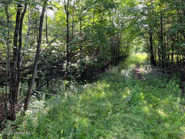 41 Shultes Road Berne, NY 12122 - Photo 4 of 18 IMG_1967