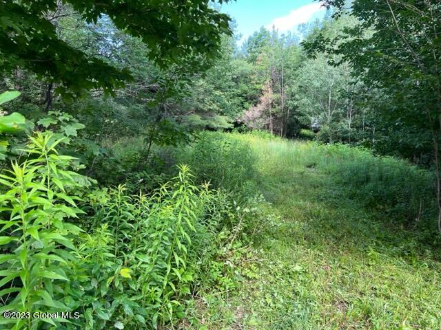 41 Shultes Road Berne, NY 12122 - Photo 5 of 18 IMG_1969