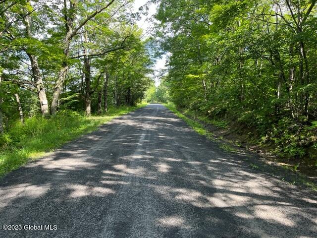 41 Shultes Road Berne, NY 12122 - Photo 6 of 18 IMG_1971