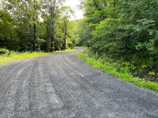 41 Shultes Road Berne, NY 12122 - Photo 7 of 18 IMG_1970