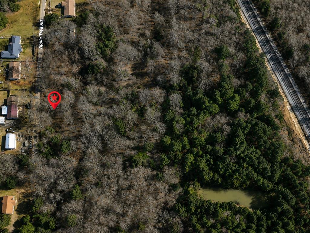 Tbd Apple Tree Road Gilmer, TX 75644 - Photo 3 of 13