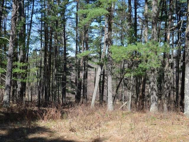 9862 Swamp Lake Road Tomahawk, WI 54487 - Photo 14 of 15 Gallery Image 14
