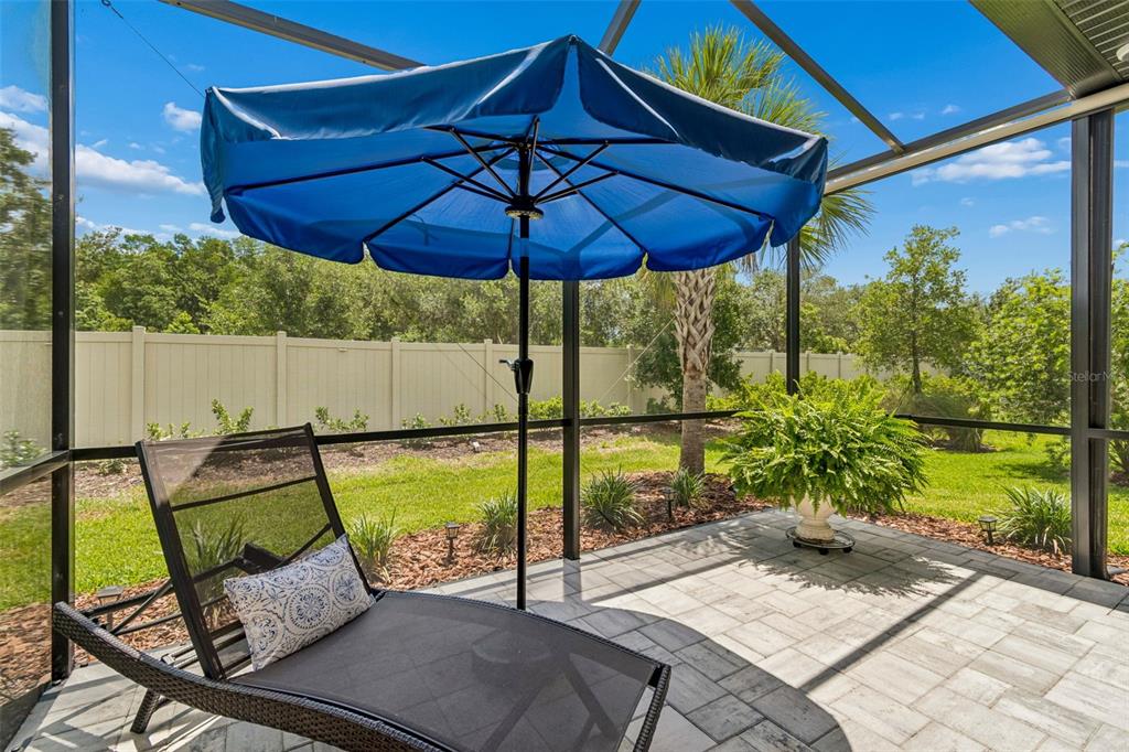 4534 Garofalo Road Wesley Chapel, FL 33543 - Photo 67 of 100 Gallery Image 67