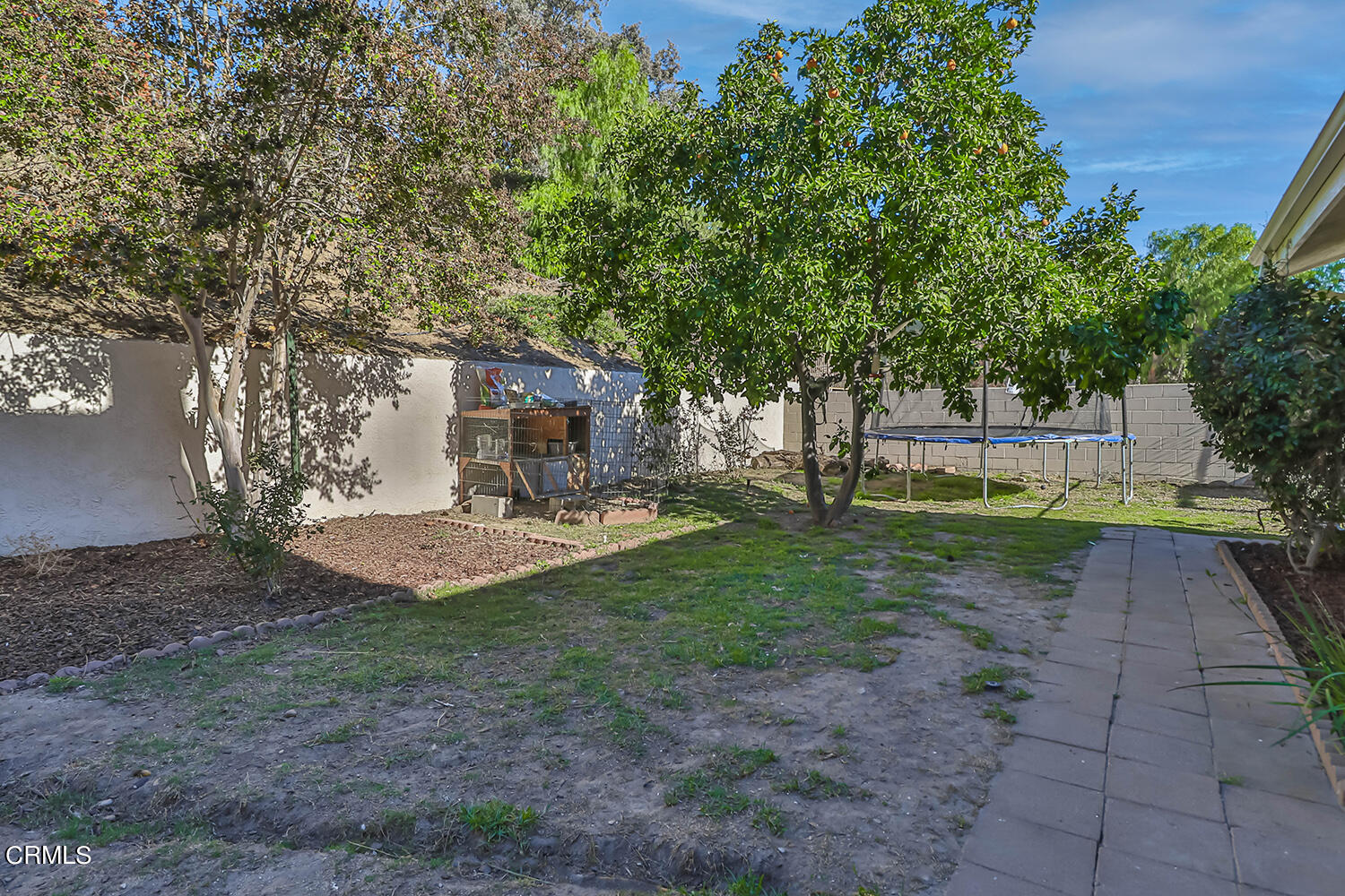 4030 Donlon Road Somis, CA 93066 - Photo 44 of 48 a view of a park with large trees