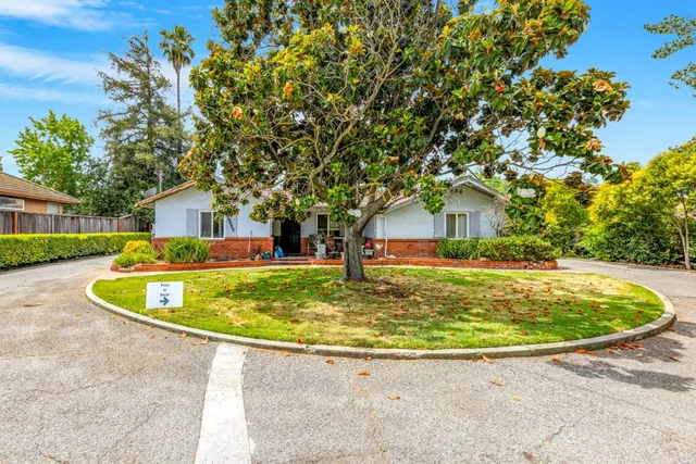 a view of outdoor space yard and tree