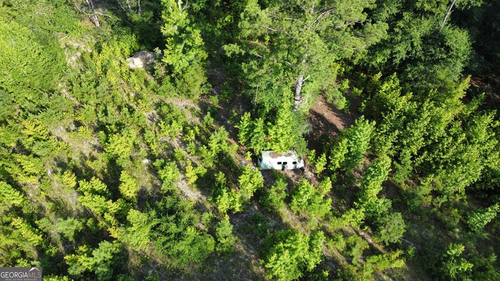 700 Gun Club Road Box Springs, GA 31801 - Photo 3 of 4 Gallery Image 3