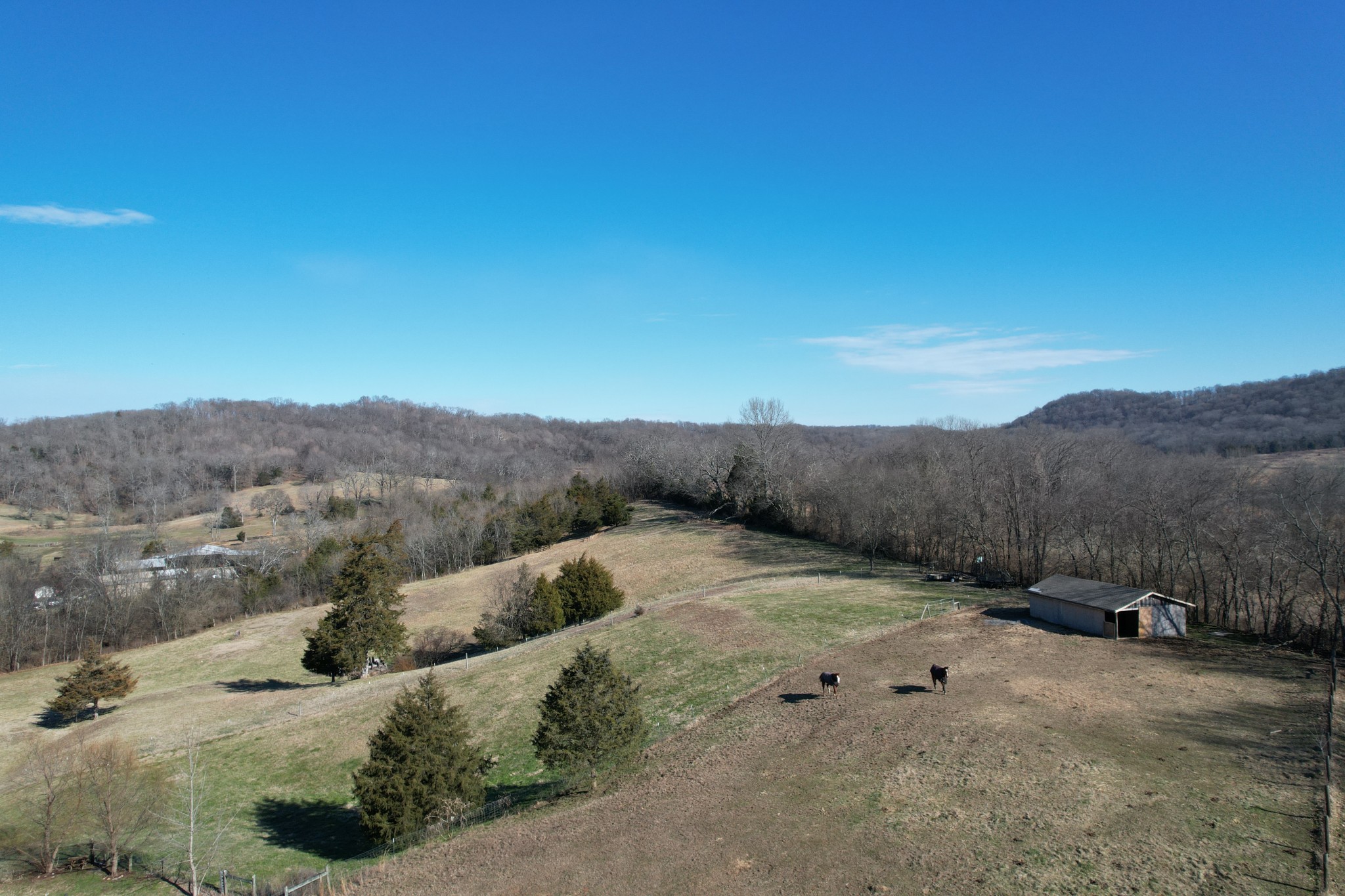 4054 Wilson Pike Franklin, TN 37067 - Photo 3 of 57