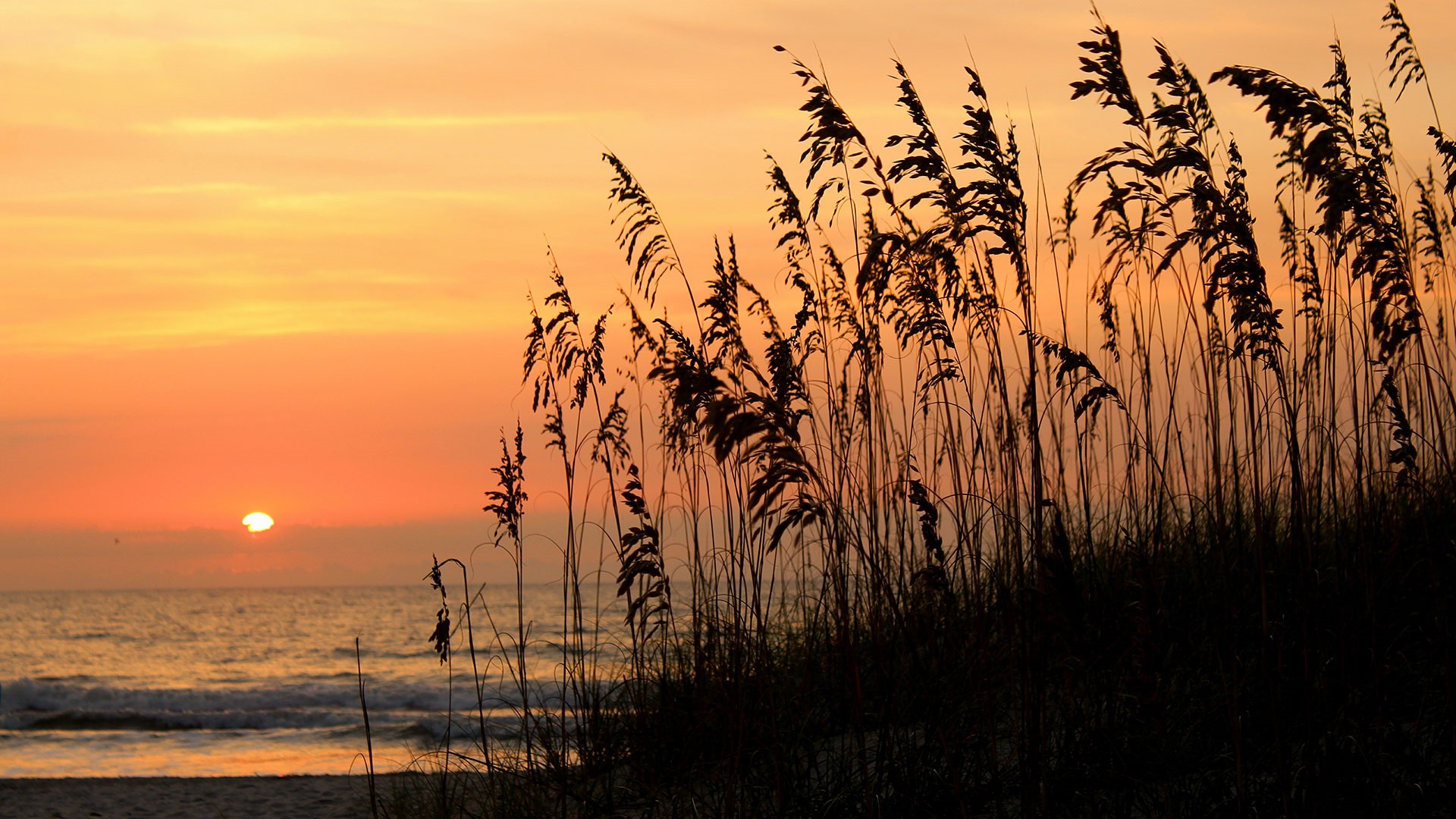 296 Counsel Street Yulee, FL 32097 - Photo 27 of 40