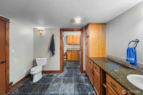 a bathroom with a granite countertop sink a toilet and a large mirror