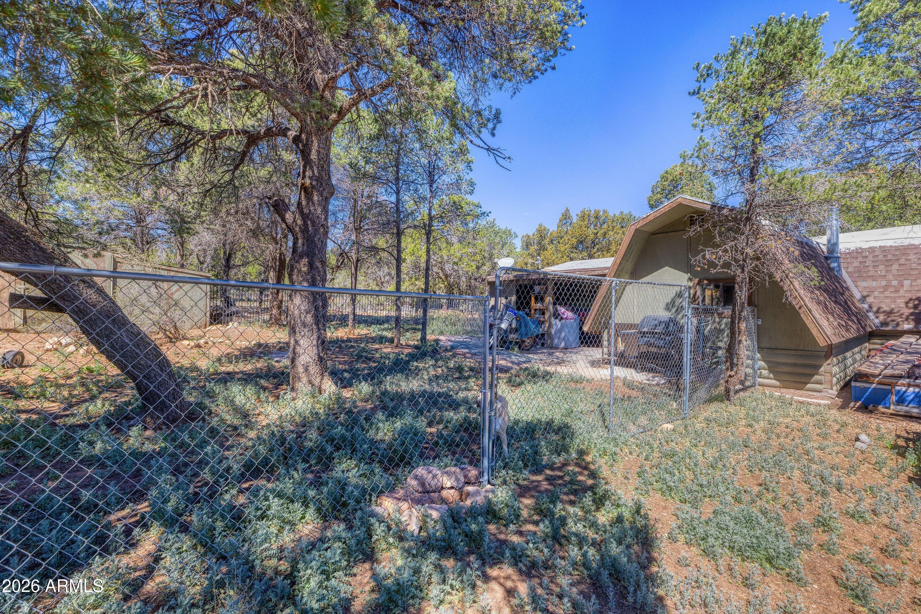 3155 Aspen Road Overgaard, AZ 85933 - Photo 11 of 15