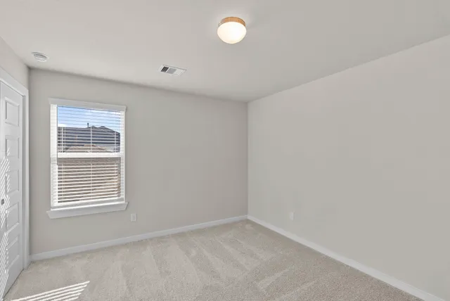 a view of a flower in a garden