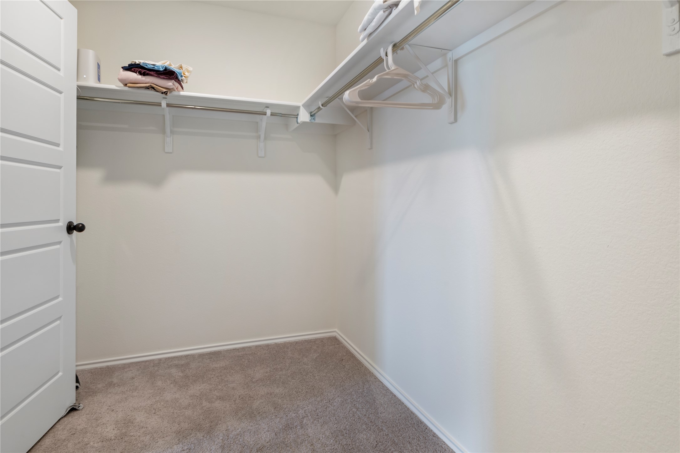 18501 Spotted Eagle Lane Elgin, TX 78621 - Photo 25 of 40 Walk in closet with carpet