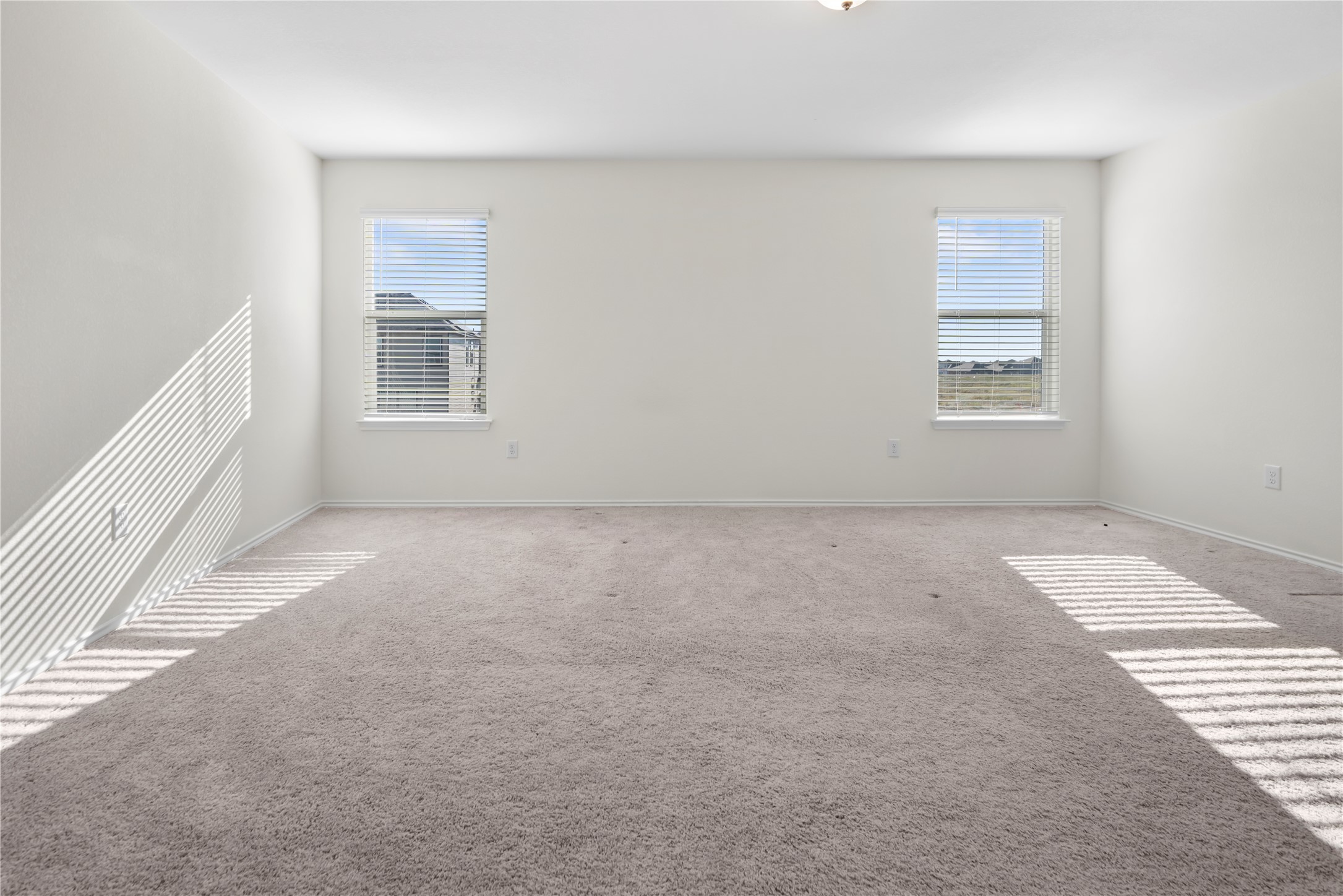 18501 Spotted Eagle Lane Elgin, TX 78621 - Photo 29 of 40 Carpeted empty room with plenty of natural light