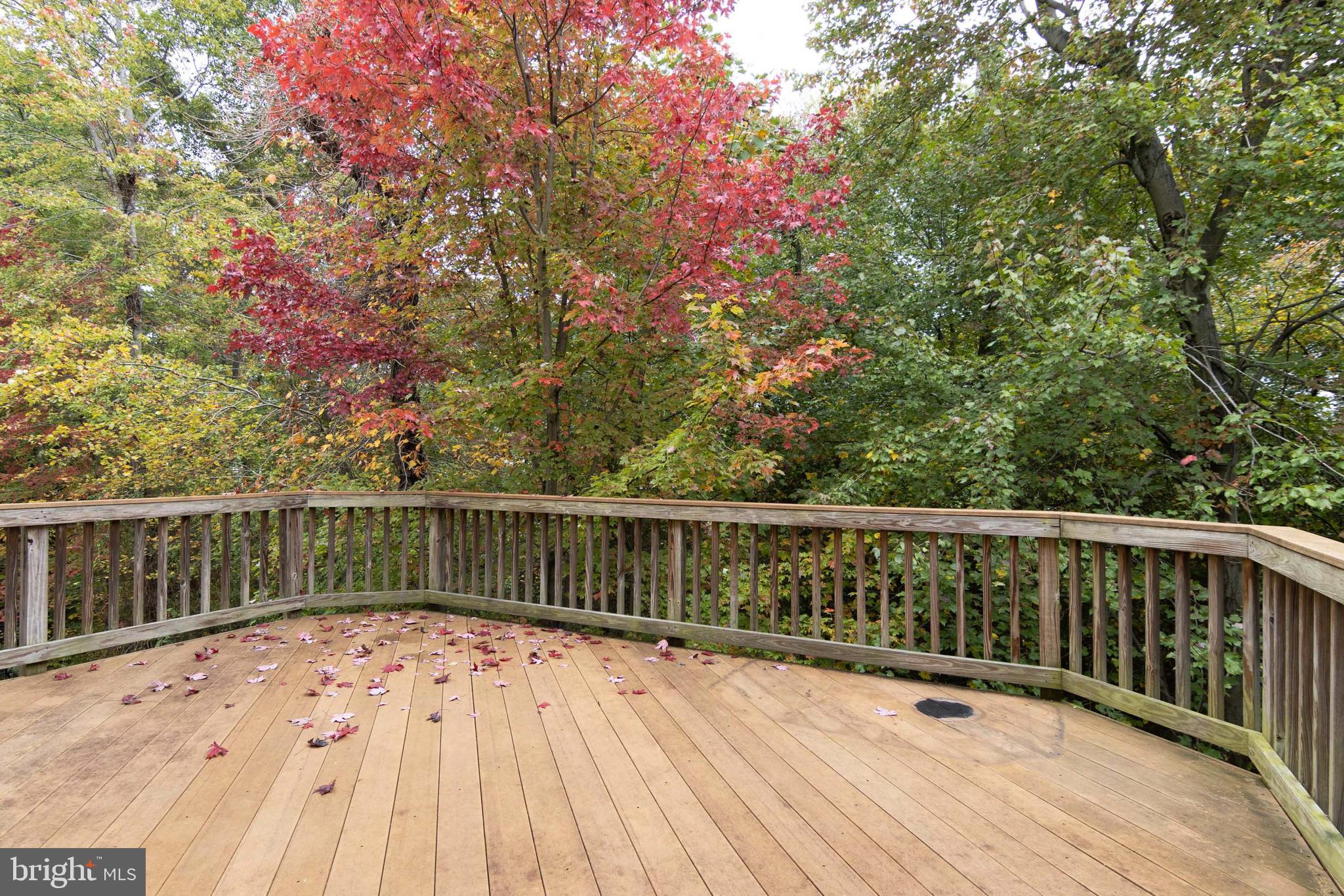 7142 Deep Falls Way, Unit 151 Elkridge, MD 21075 - Photo 38 of 43 LARGE DECK BACK TO TREES