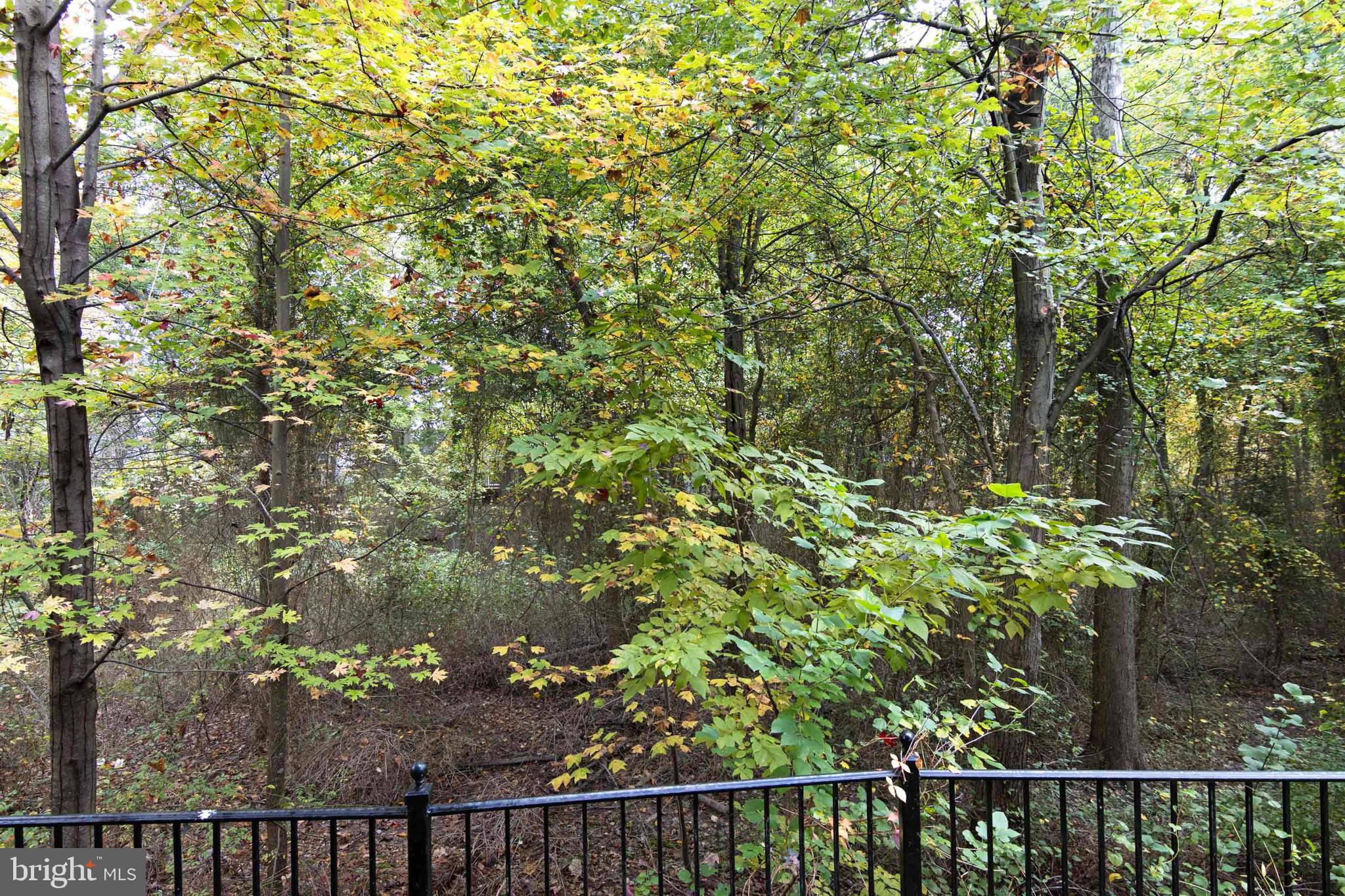 7142 Deep Falls Way, Unit 151 Elkridge, MD 21075 - Photo 42 of 43 RARE TOWN HOUSE BACKING TO TREES