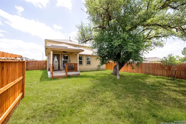 a view of backyard with tree