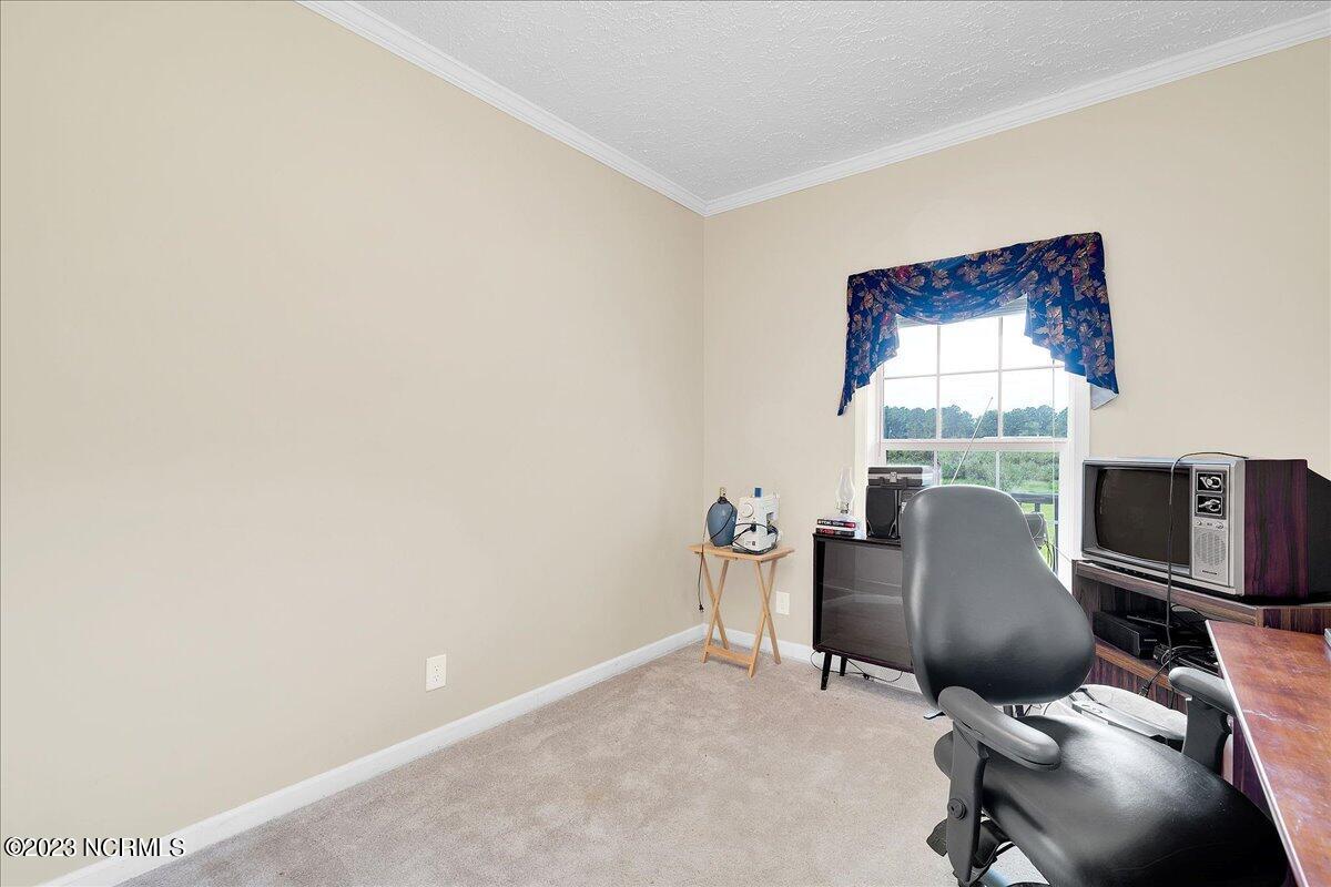 12345 Highway 210 Ivanhoe, NC 28447 - Photo 17 of 42 17-12345nc210_17