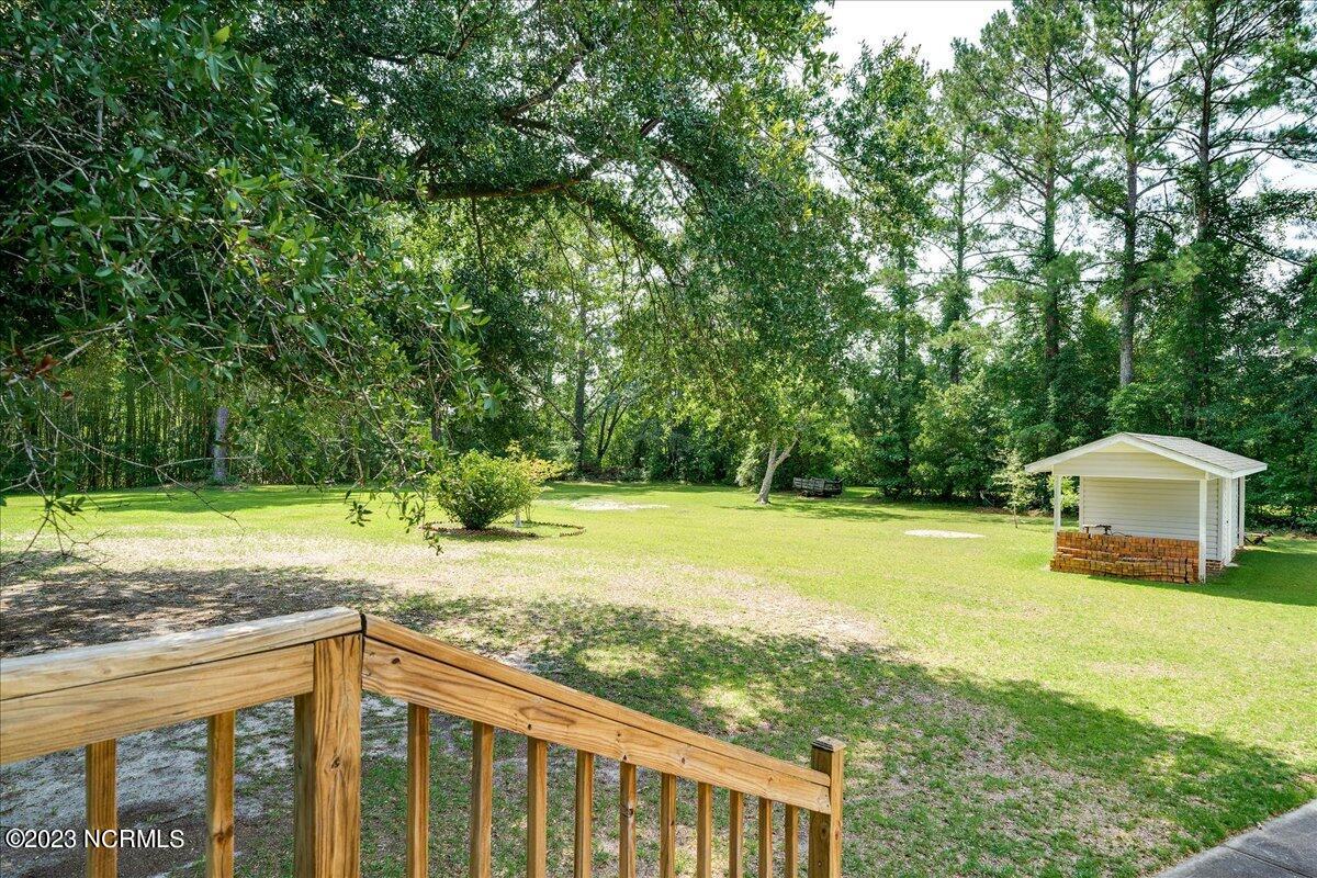 12345 Highway 210 Ivanhoe, NC 28447 - Photo 28 of 42 28-12345nc210_28