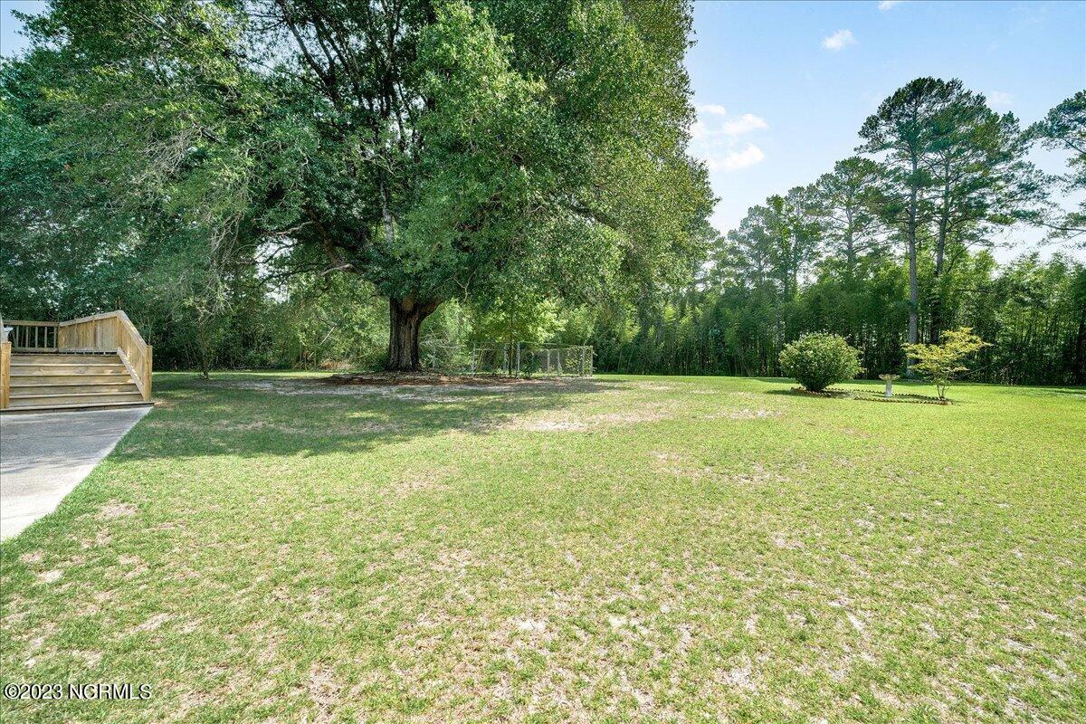 12345 Highway 210 Ivanhoe, NC 28447 - Photo 29 of 42 29-12345nc210_29
