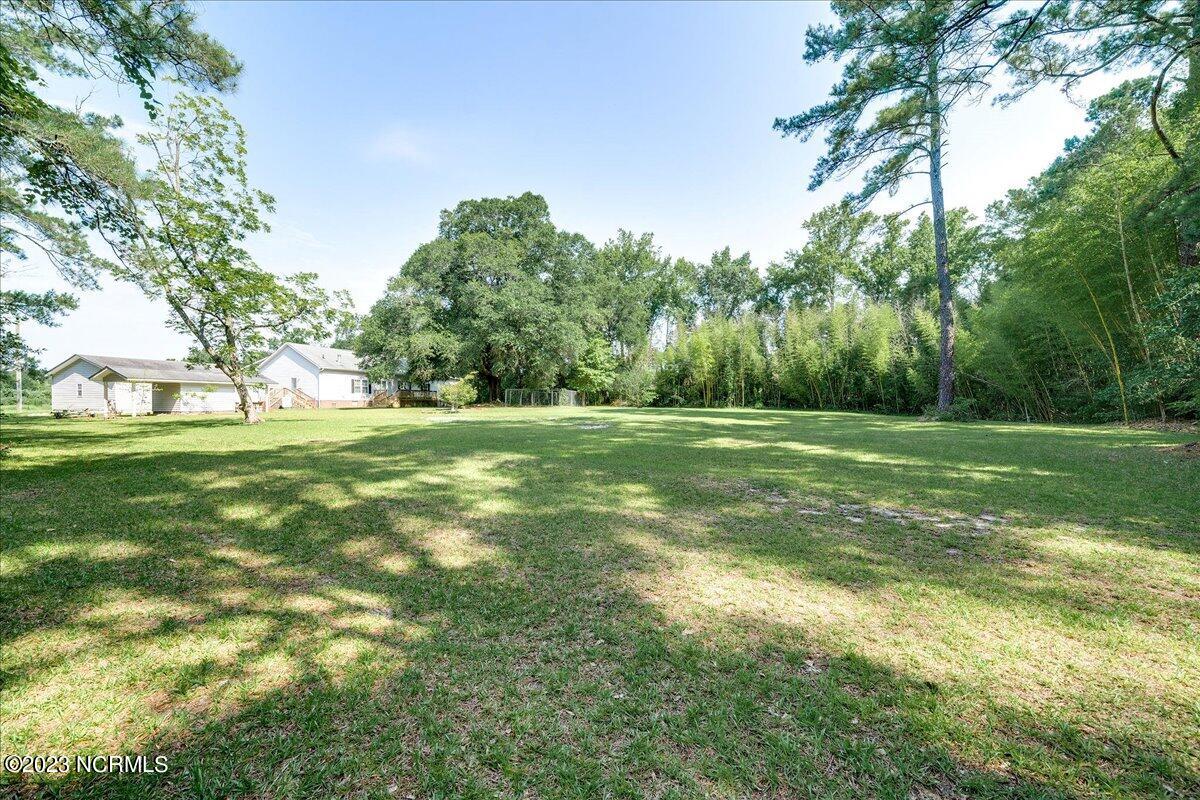 12345 Highway 210 Ivanhoe, NC 28447 - Photo 35 of 42 36-12345nc210_36