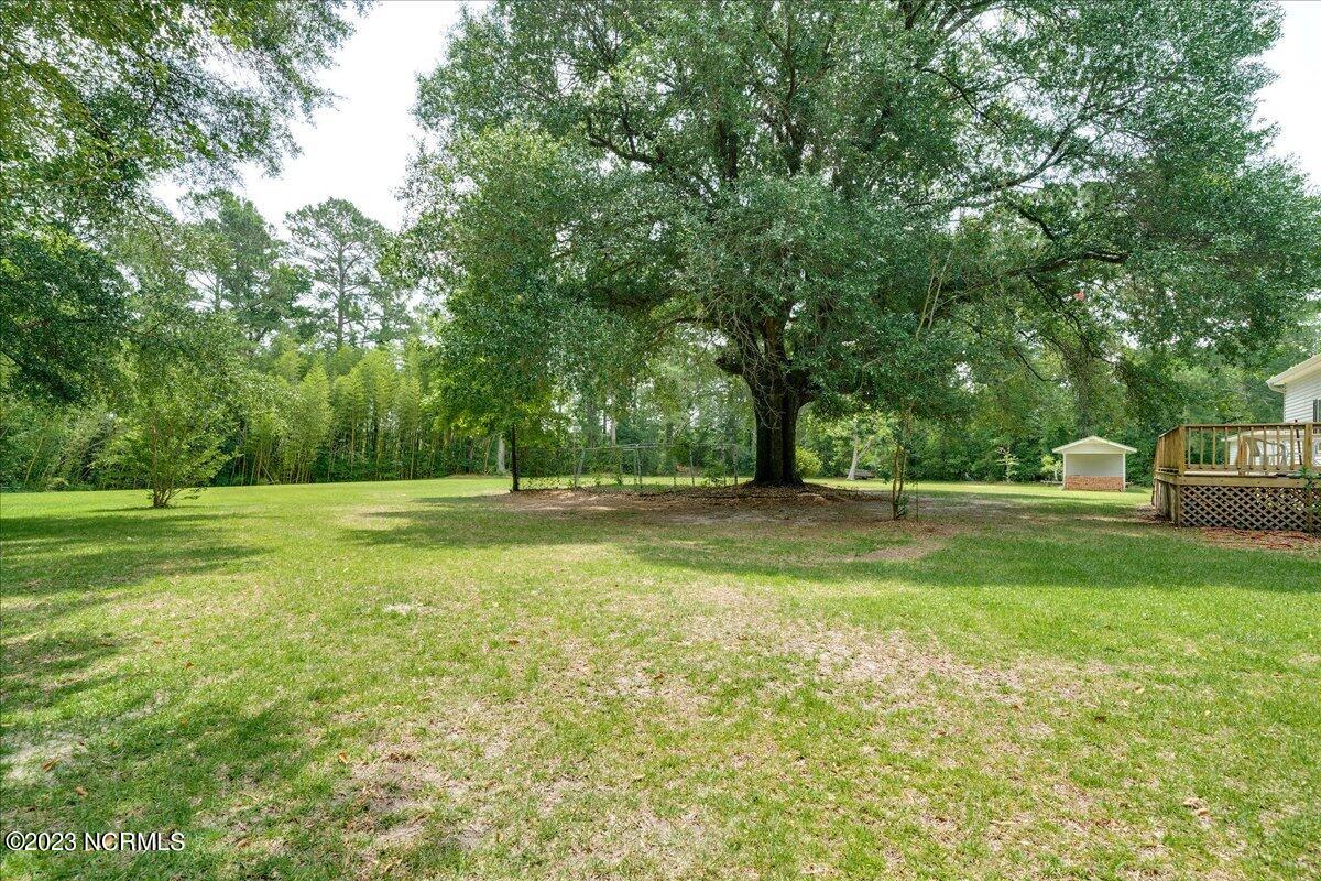 12345 Highway 210 Ivanhoe, NC 28447 - Photo 36 of 42 37-12345nc210_37