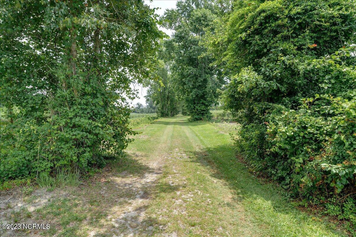 12345 Highway 210 Ivanhoe, NC 28447 - Photo 37 of 42 01-12345nc210_1