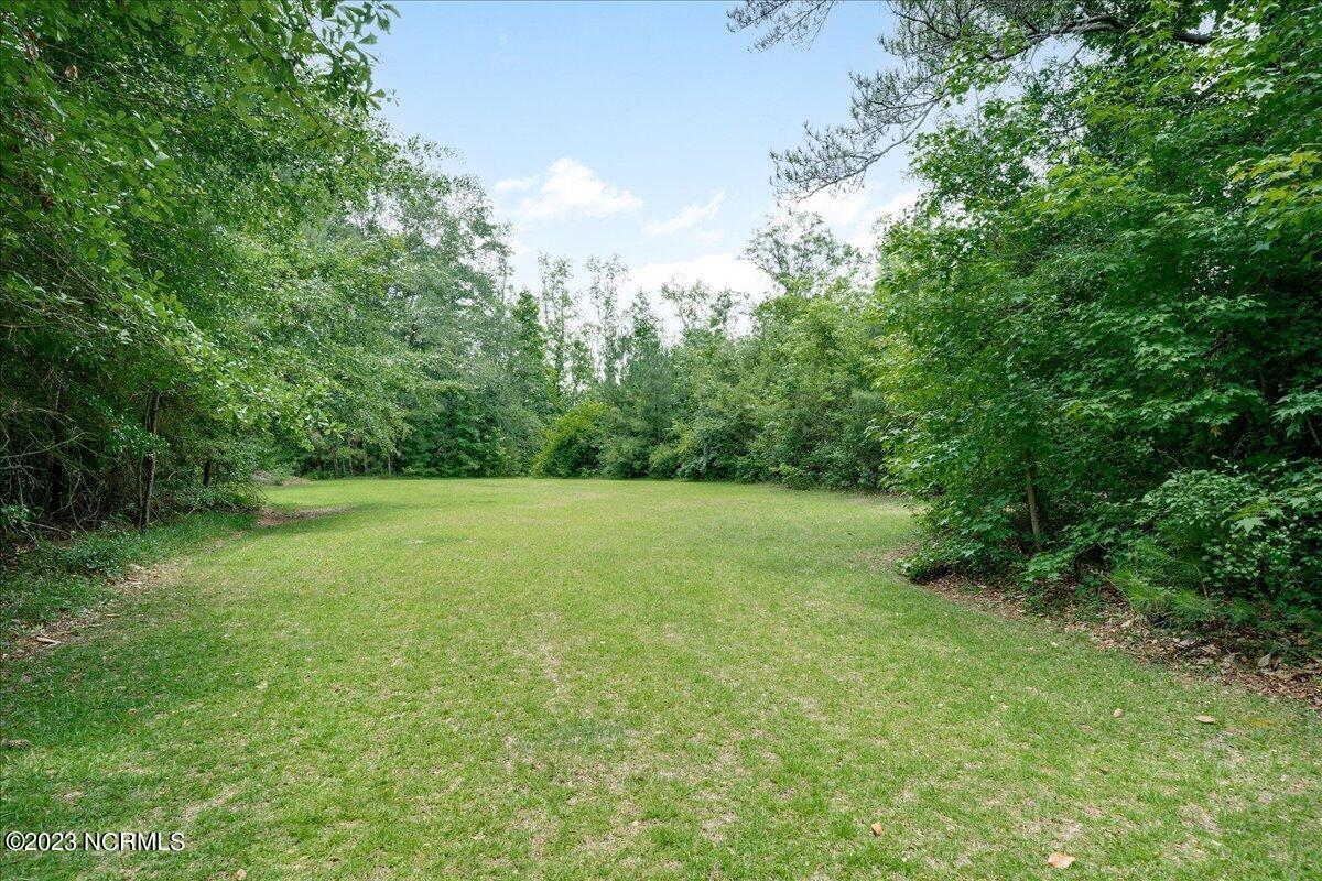 12345 Highway 210 Ivanhoe, NC 28447 - Photo 38 of 42 38-12345nc210_38