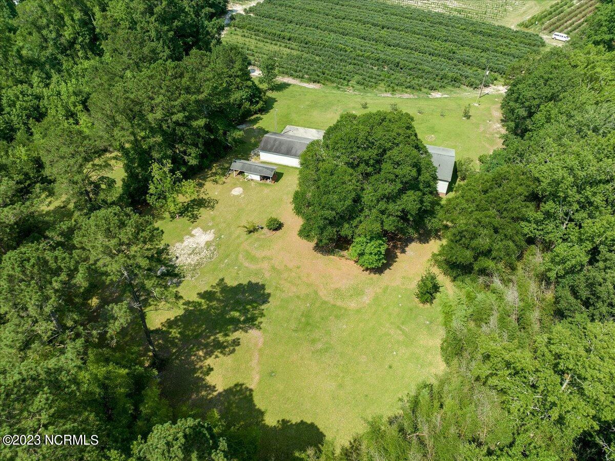 12345 Highway 210 Ivanhoe, NC 28447 - Photo 40 of 42 40-12345nc210_40