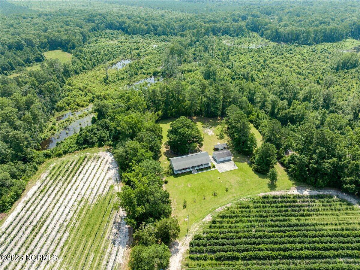 12345 Highway 210 Ivanhoe, NC 28447 - Photo 41 of 42 41-12345nc210_41