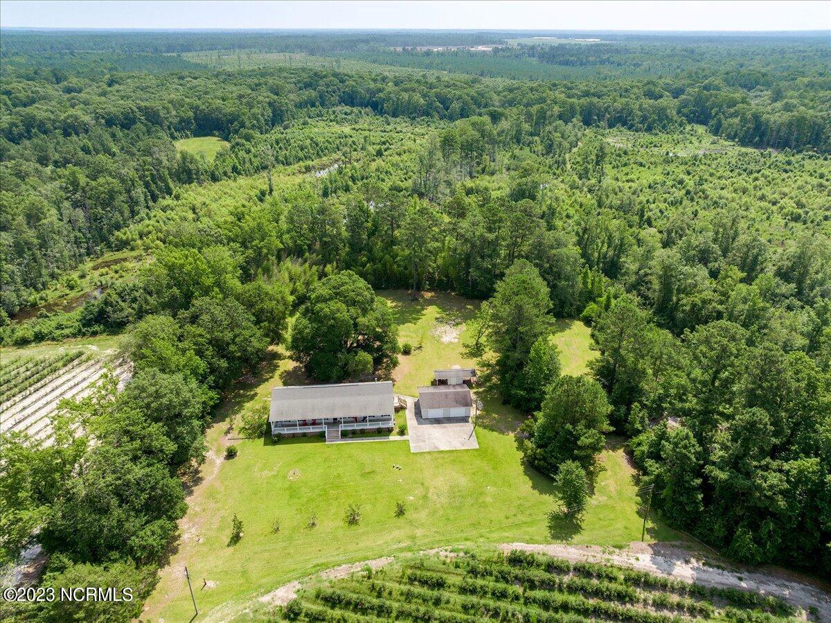 12345 Highway 210 Ivanhoe, NC 28447 - Photo 42 of 42 42-12345nc210_42