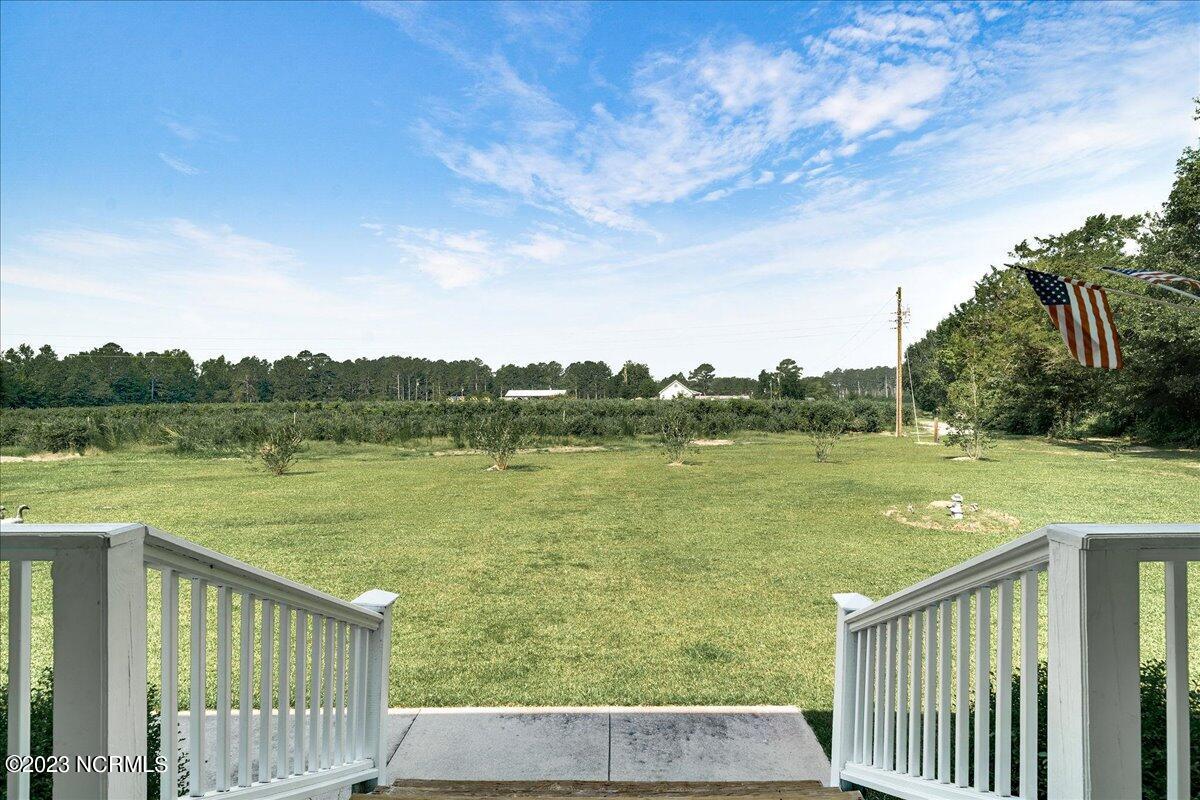 12345 Highway 210 Ivanhoe, NC 28447 - Photo 6 of 42 06-12345nc210_6