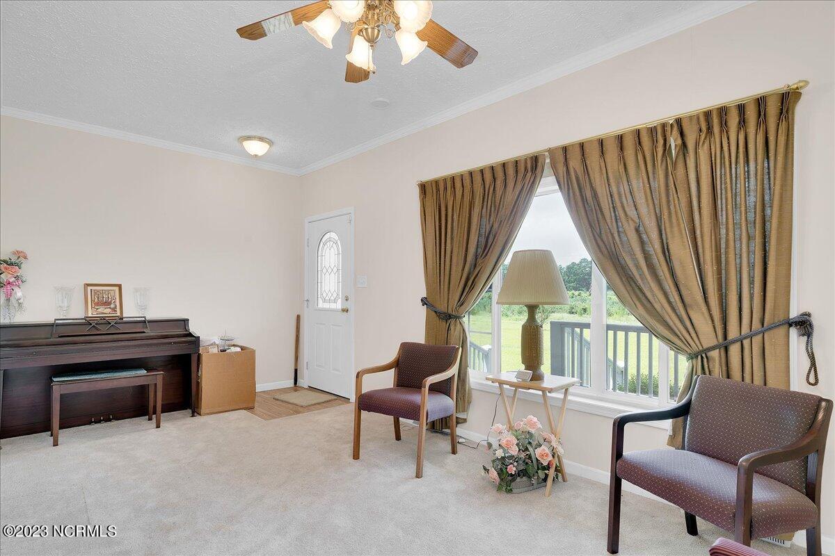 12345 Highway 210 Ivanhoe, NC 28447 - Photo 7 of 42 07-12345nc210_7