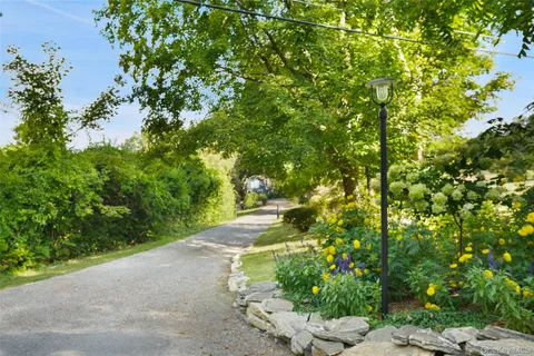 a view of a garden with plants