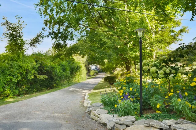 a view of a garden with plants