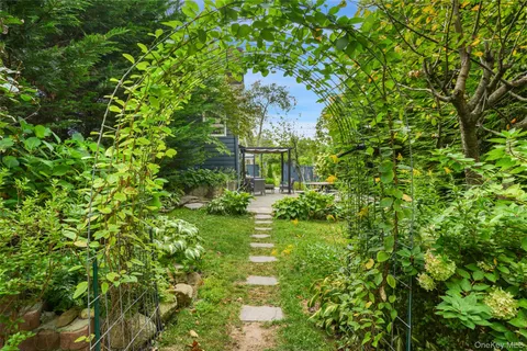 a view of a garden with plants