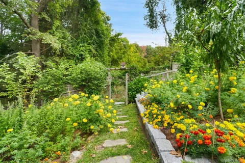 a view of a garden