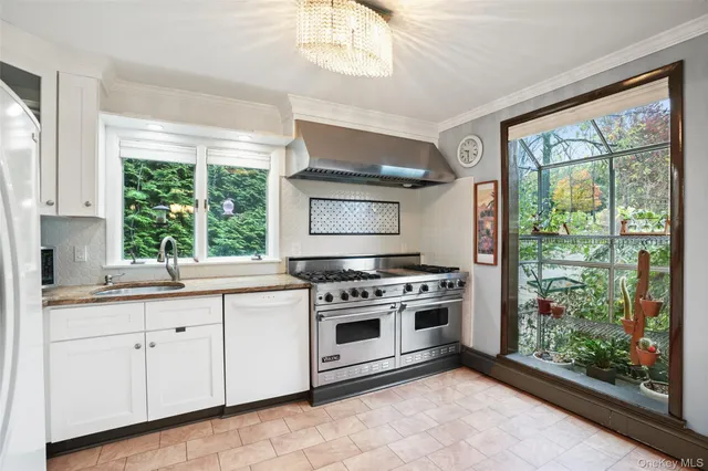 a kitchen with a stove a sink and a dishwasher