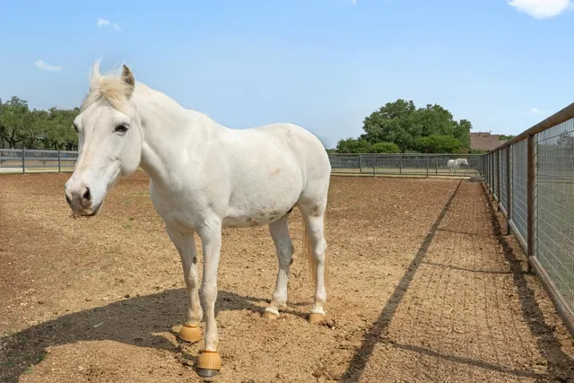 $1,395,000 | 281 Colonial Affair, Austin, TX 78737