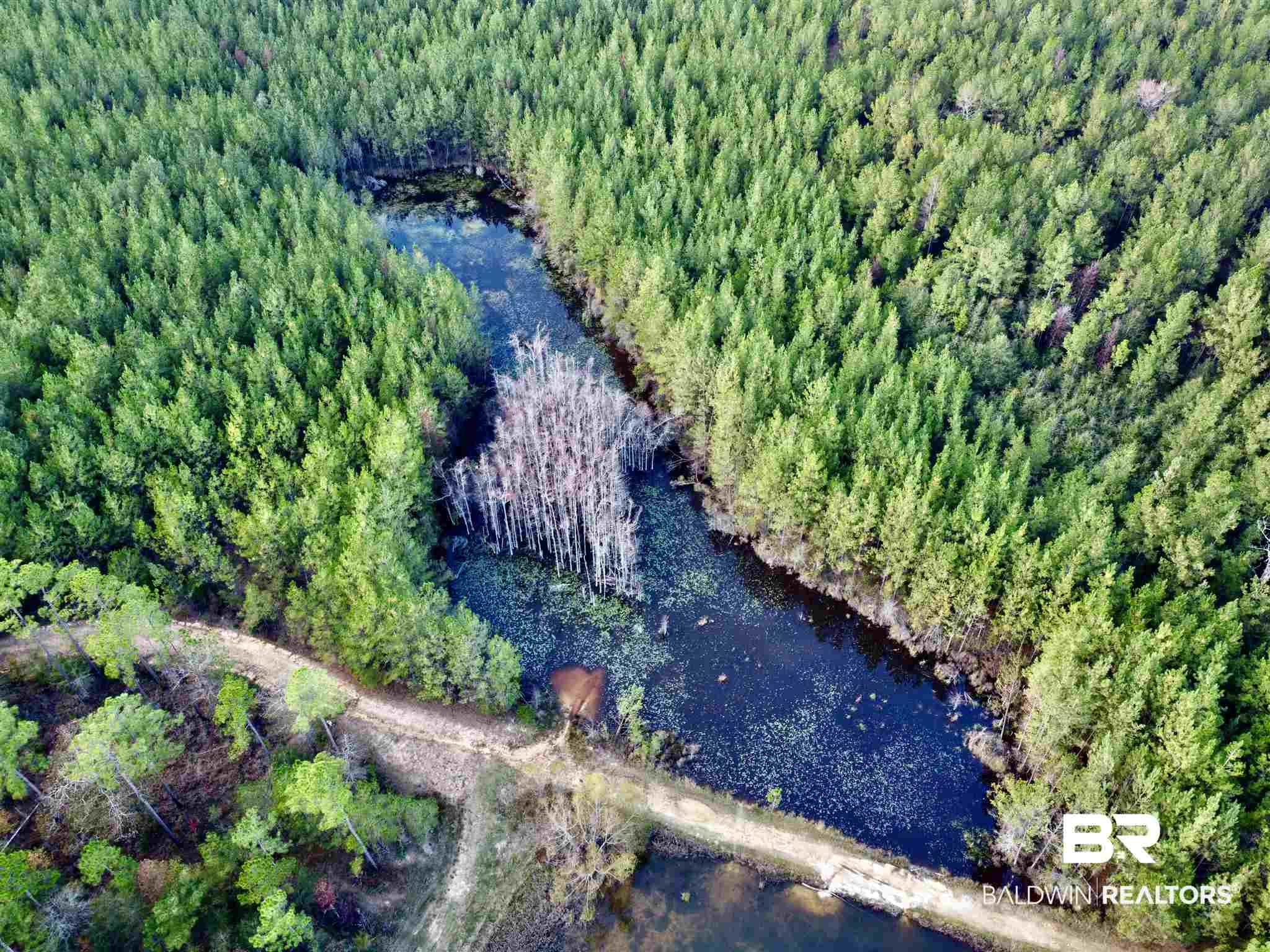 0 Whitetail Run Chatom, AL 36518 - Photo 4 of 29