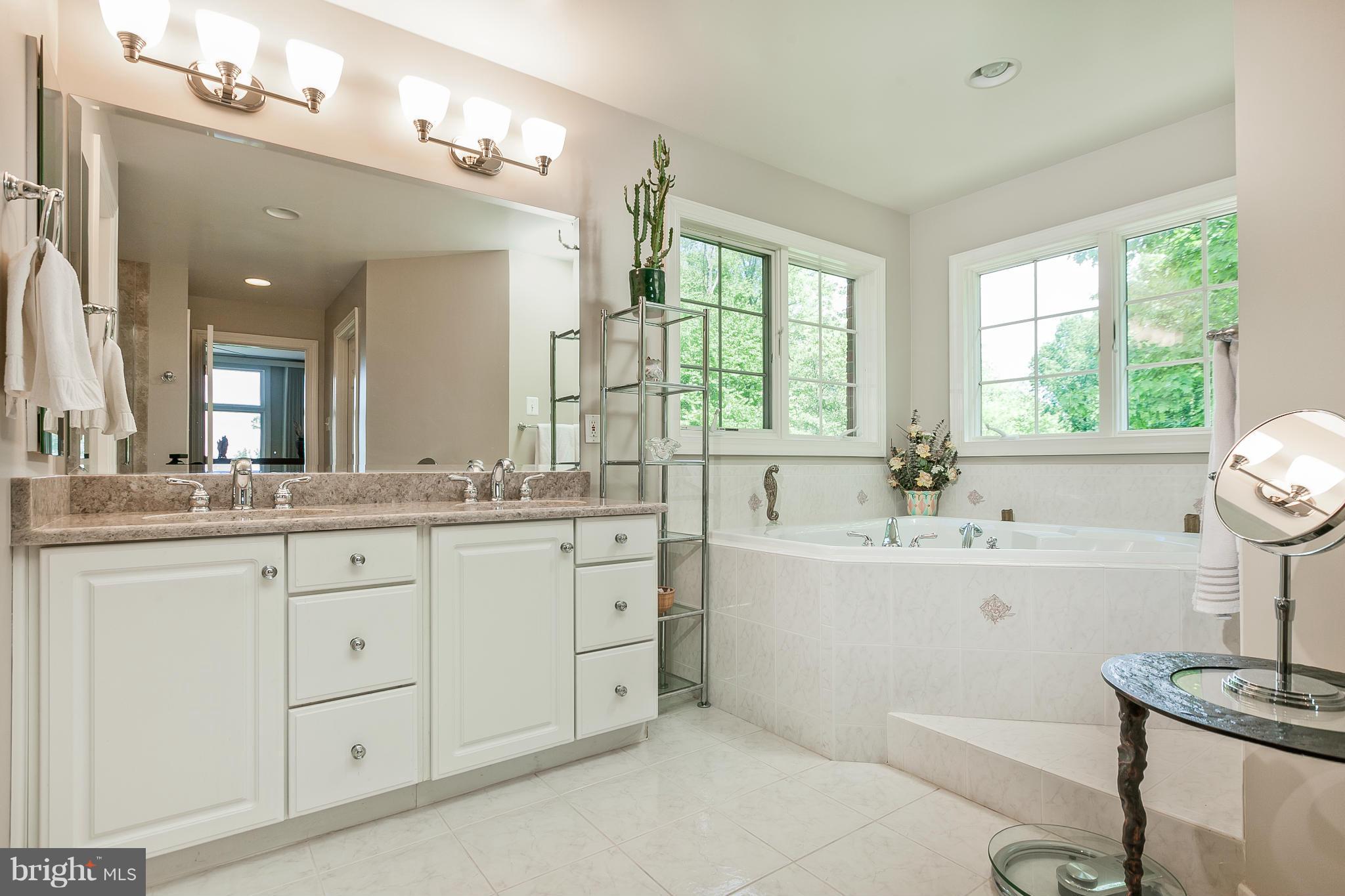 9821 Fox Road Frederick, MD 21702 - Photo 16 of 30 Bath (Master)